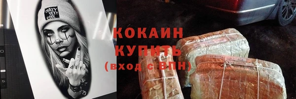 хмурый Алексин