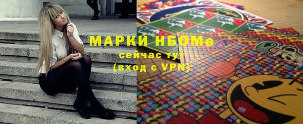хмурый Алексин
