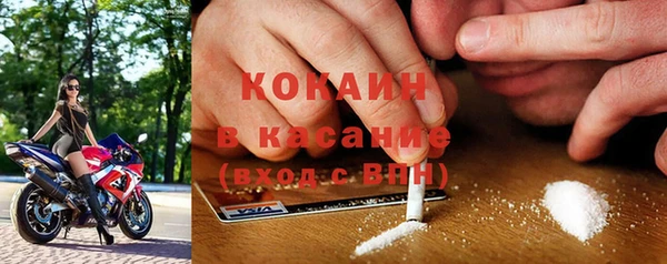 хмурый Алексин