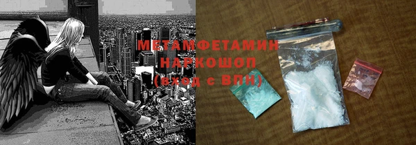 хмурый Алексин