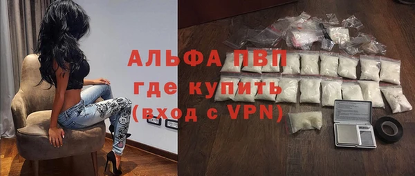 сатива Надым