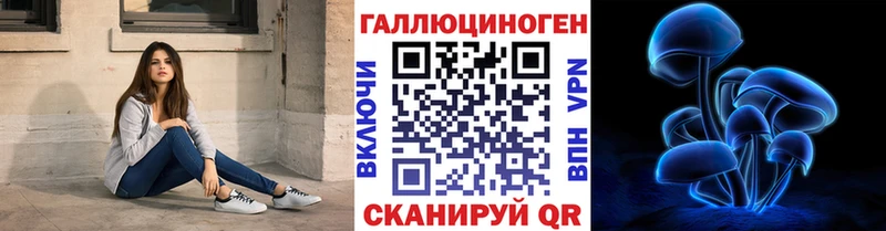 Псилоцибиновые грибы мухоморы  mega онион  Юрьев-Польский  как найти наркотики 