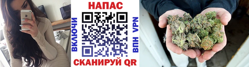 сколько стоит  Юрьев-Польский  Канабис тримм 